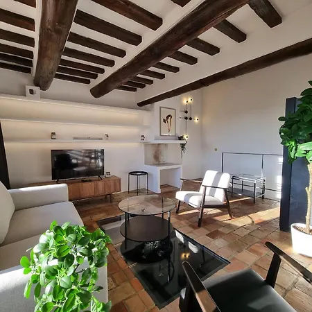 6 Rue Marechal Foch - Luxury - Terrace Apartment